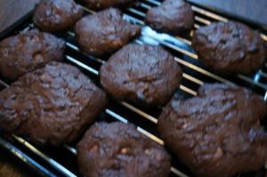 chocolate and cashew nut cookies
