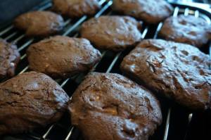 chocolate and cashew nut cookies 